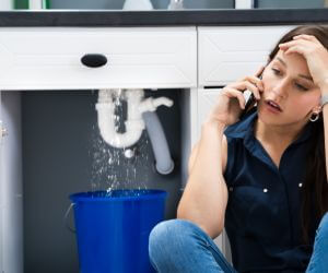 About Emergency plumbing pros San Ygnacio, TX